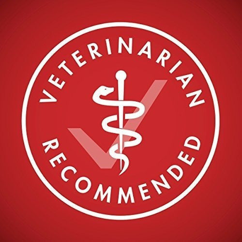 Alimento Para Perros Seco Para Adultos