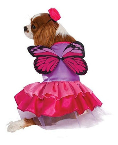 Disfraz para pèrros