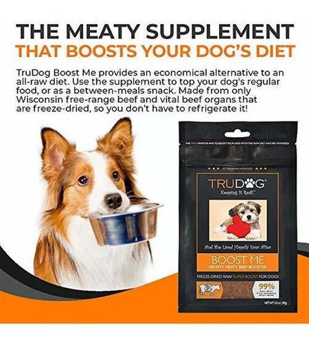 Carne real orgánica para alimento de perros