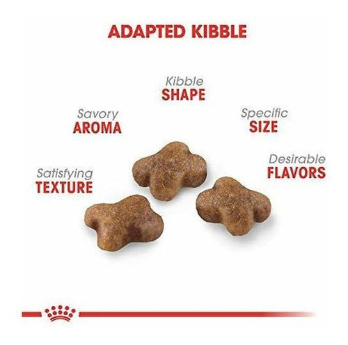 Royal Canin Feline Health Nutrition Alimentos Secos Para