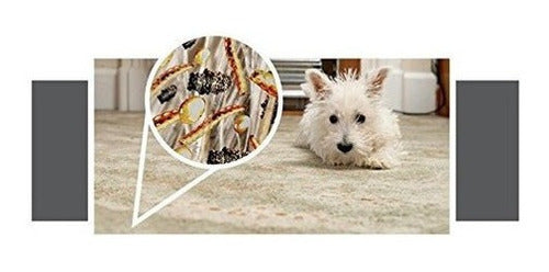 Spray Para Alfombras Y Tapicería Para Pulgas, Garrapatas Y