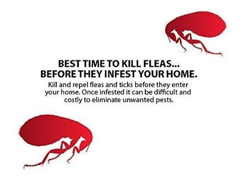 Prevención De Pulgas Garrapatas