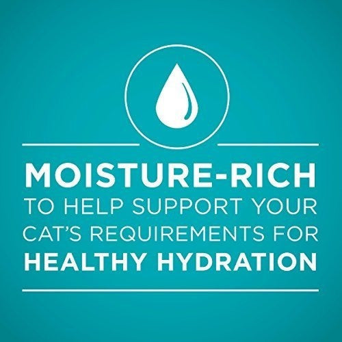 Purina One True Instinct Recetas Comida Húmeda Para Gatos