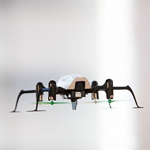 Dron