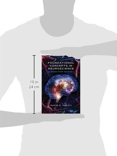 Conceptos Fundamentales En Neurociencia Una Odisea