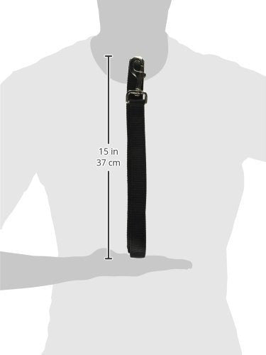 Correa de adiestramiento para perros de nailon grueso