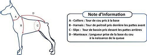 Collar para mascotas