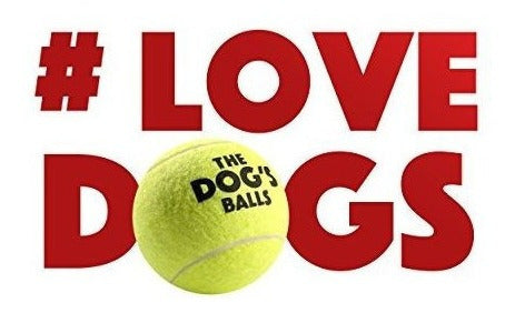 12 Pelotas De Tenis Para perro