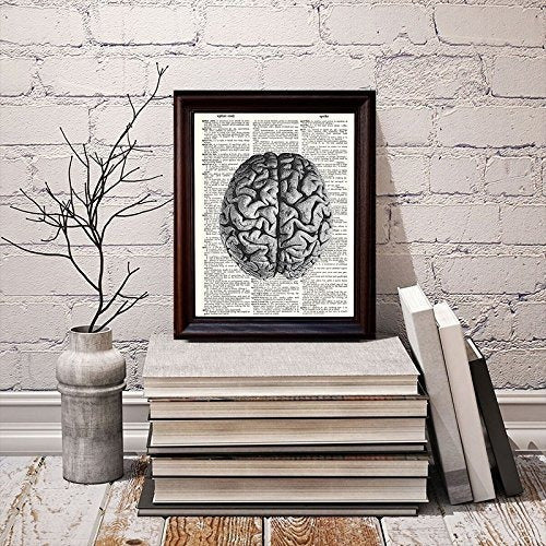 Cerebro Humano Anatómico: Impreso En Un Papel