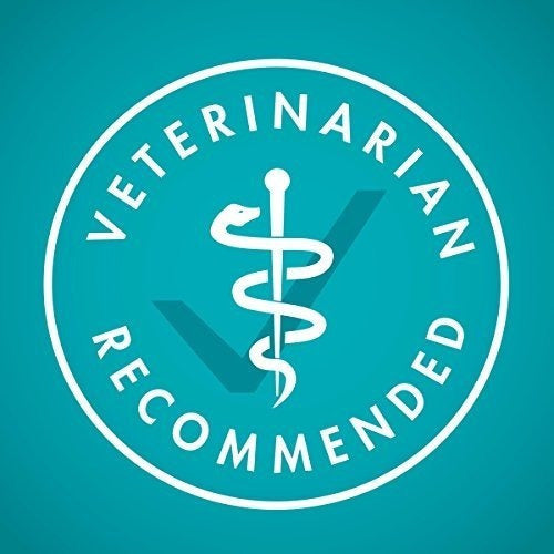 Purina One True Instinct Recetas Comida Húmeda Para Gatos