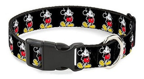 Collar De Gato Con Hebilla Desplegable - Pose Clásica De