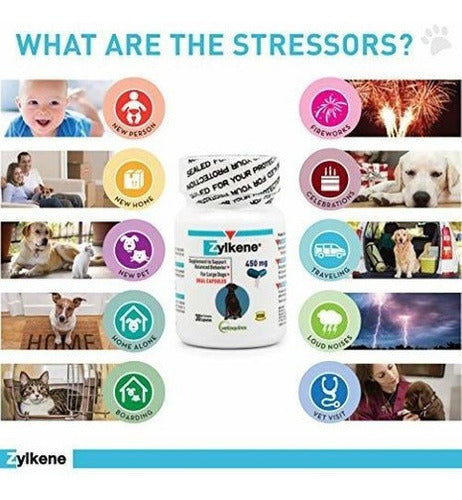 Vetoquinol Zylkene Cápsulas De Apoyo Conductual Para Perros