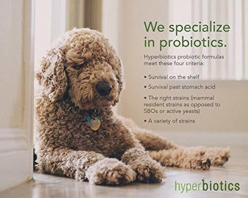 Hiperbióticos Pro-pets: Un Probiótico Para Perros Y Gatos: