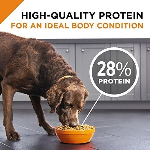 Purina Pro Plan Savor Mezcla Rallada Polvo Y Arroz Fórmula