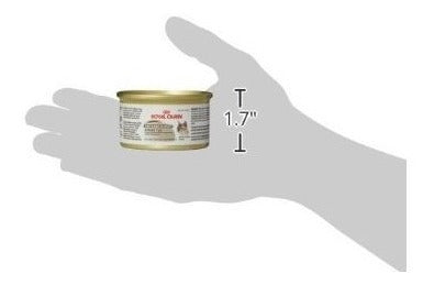 Comida enlatada para gatos