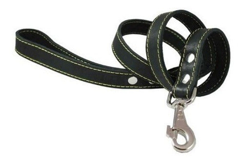 Correa Para Perros De Cuero