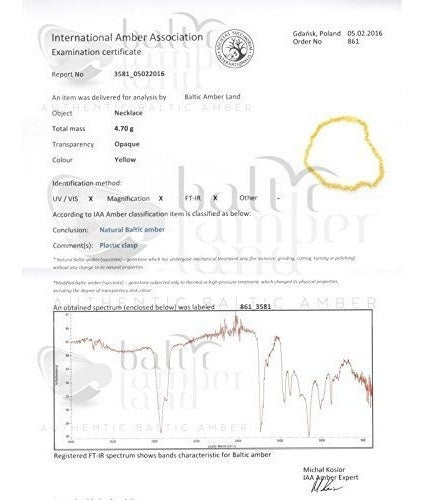 Collar De Ámbar Crudo Para Adultos