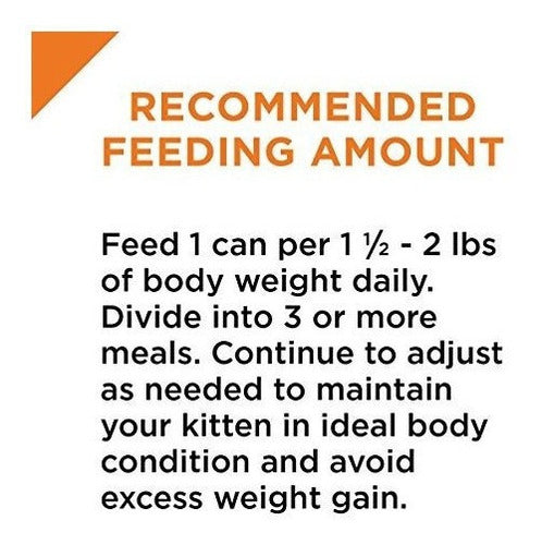 Alimento Para Gatitos Húmedos De Salmón