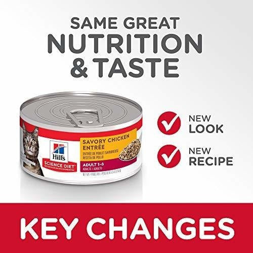 Dieta de la ciencia de la colina Comida Húmeda Para Gatos