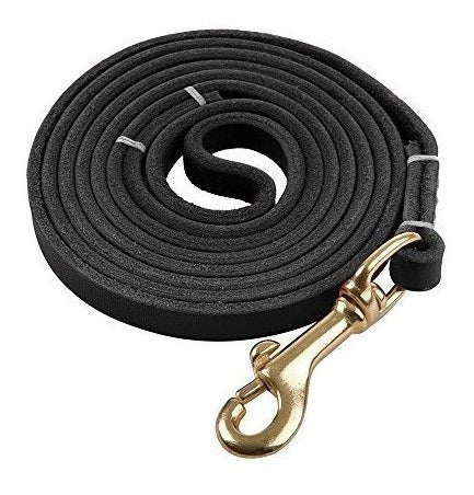 Correa Para Perro Pequeña Y Mediana De 4 Pies