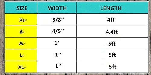 Correa Para Perros Lionet Paws, Correa Para Entrenamiento