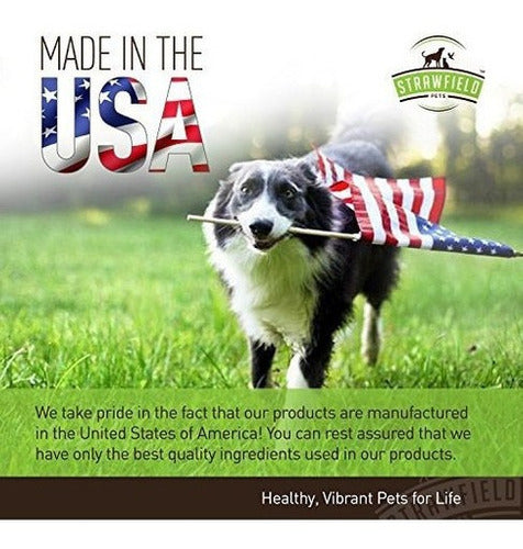 Glucosamina Para Perros: Masticables De Suplementos