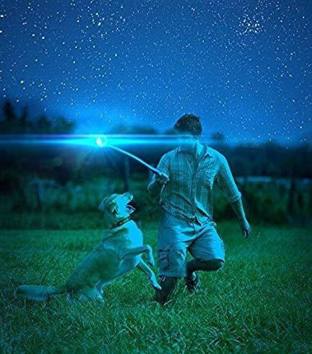 pelotas Para Mascotas