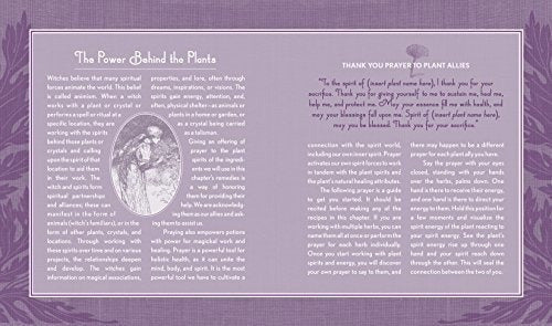 La Guía De La Buena Bruja: Una Wiccapedia Moderna De