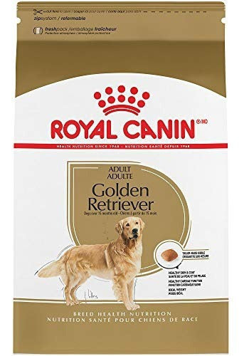 Royal Canin Breed Health Nutrition Golden Retriever Adulto