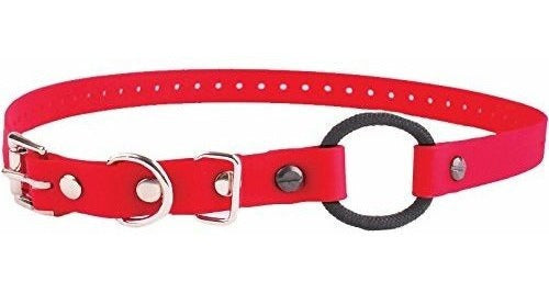 Collar Bungee Educator, 3/4 De Pulgada De Ancho Por 33