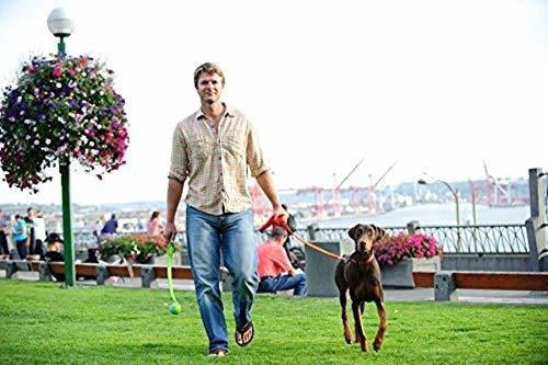 Lanzador De Bolas De 26 Pulgadas para perros