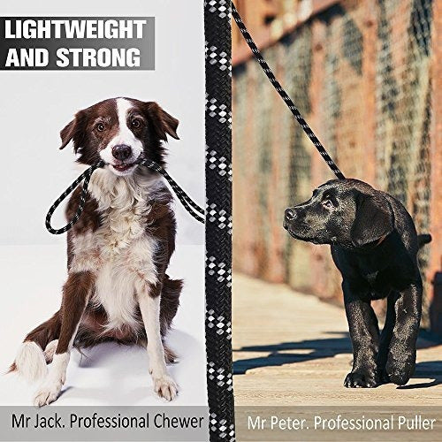 Correas Para Perros Para Perros Medianos Y Grandes