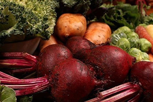 Proceso Estándar - Apoyo A La Movilidad Equina - Promueve La