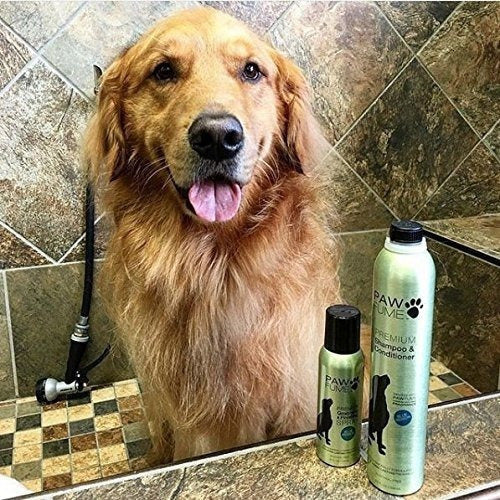 Champú Y Acondicionador Premium Pawfume - 12 Oz (azul