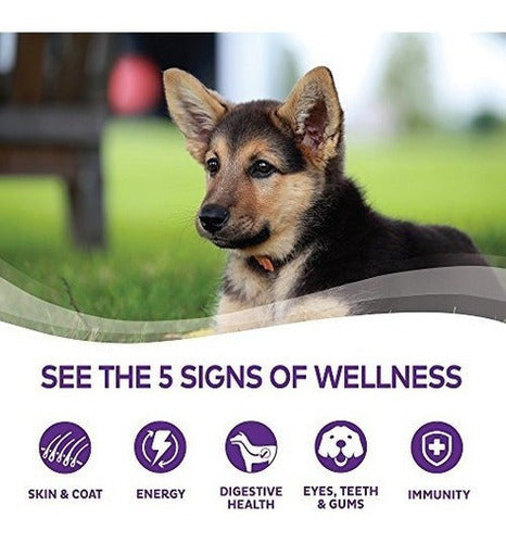 Alimentos Húmedos Para Cachorros