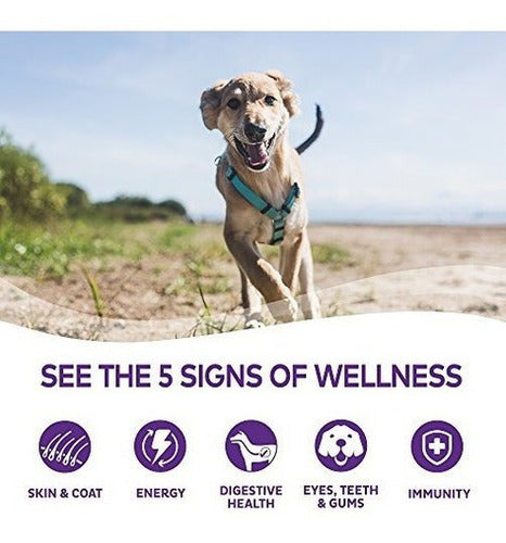 Alimento De Perro Enlatado Húmedo