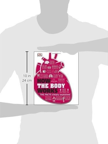 Cómo Funciona El Cuerpo: Los Hechos Simplemente Explicados