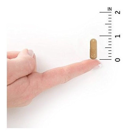 Garden Of Life Mujeres Crudas Acidophilus