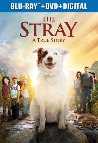 The Stray blu-ray