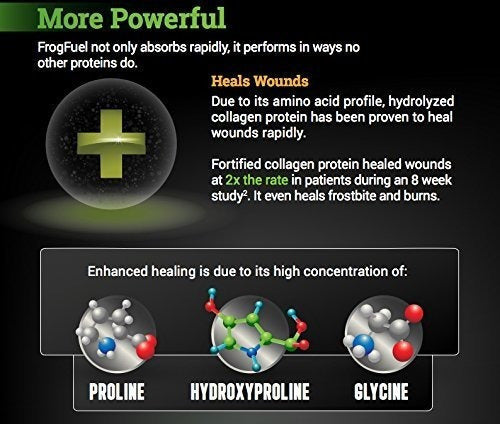 bebida devfrogfuel Potencia de proteínas