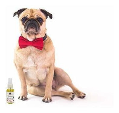 Warren London Aceite De Semilla De Uva Revitalizador