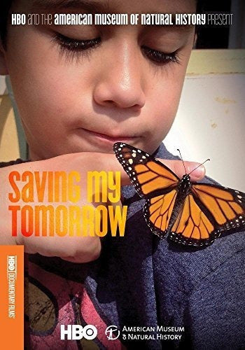 Salvando Mi Mañana dvd