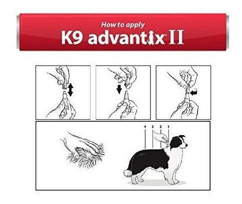 Prevención De Pulgas Garrapatas