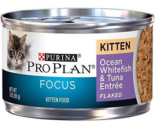 Entrante de pescado blanco y atún en copos