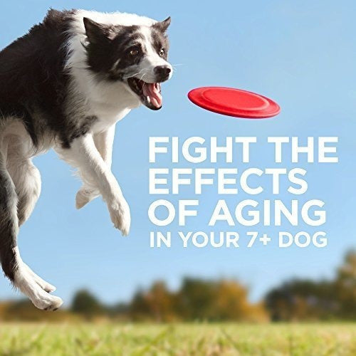 El Alimento Para Mascotas Juventud Vitalidad