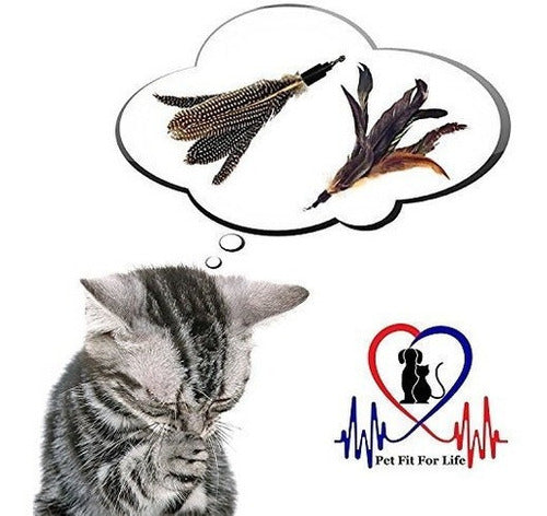 Pet Fit For Life 2 Teaser Y Ejercitador De Plumas Para Gatos