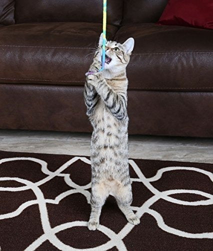 Cinta de tela colorida Juguete de ejercicio flexible seguro