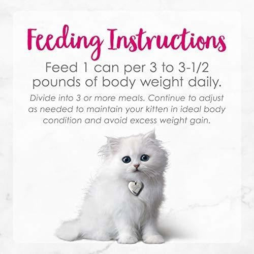 Purina Fancy Feast Kitten Comida húmeda enlatada para gatos