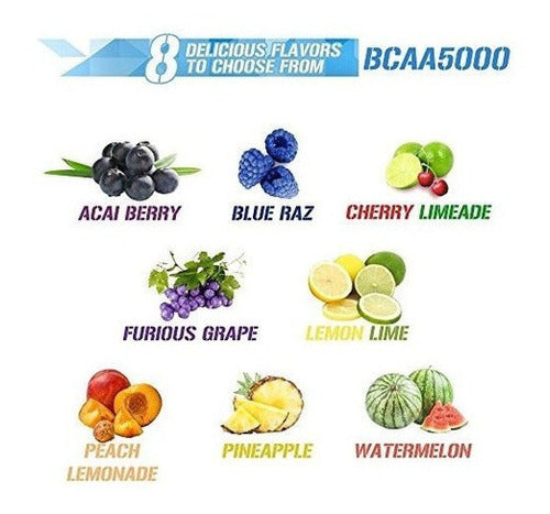 Evlution Nutrition Bcaa5000 Powder 5 Gramos De Bcaa Premium