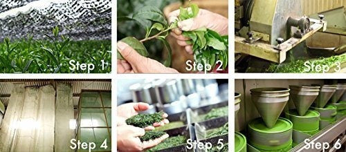 Polvo de té verde Matcha Culinario superior Usda Organic